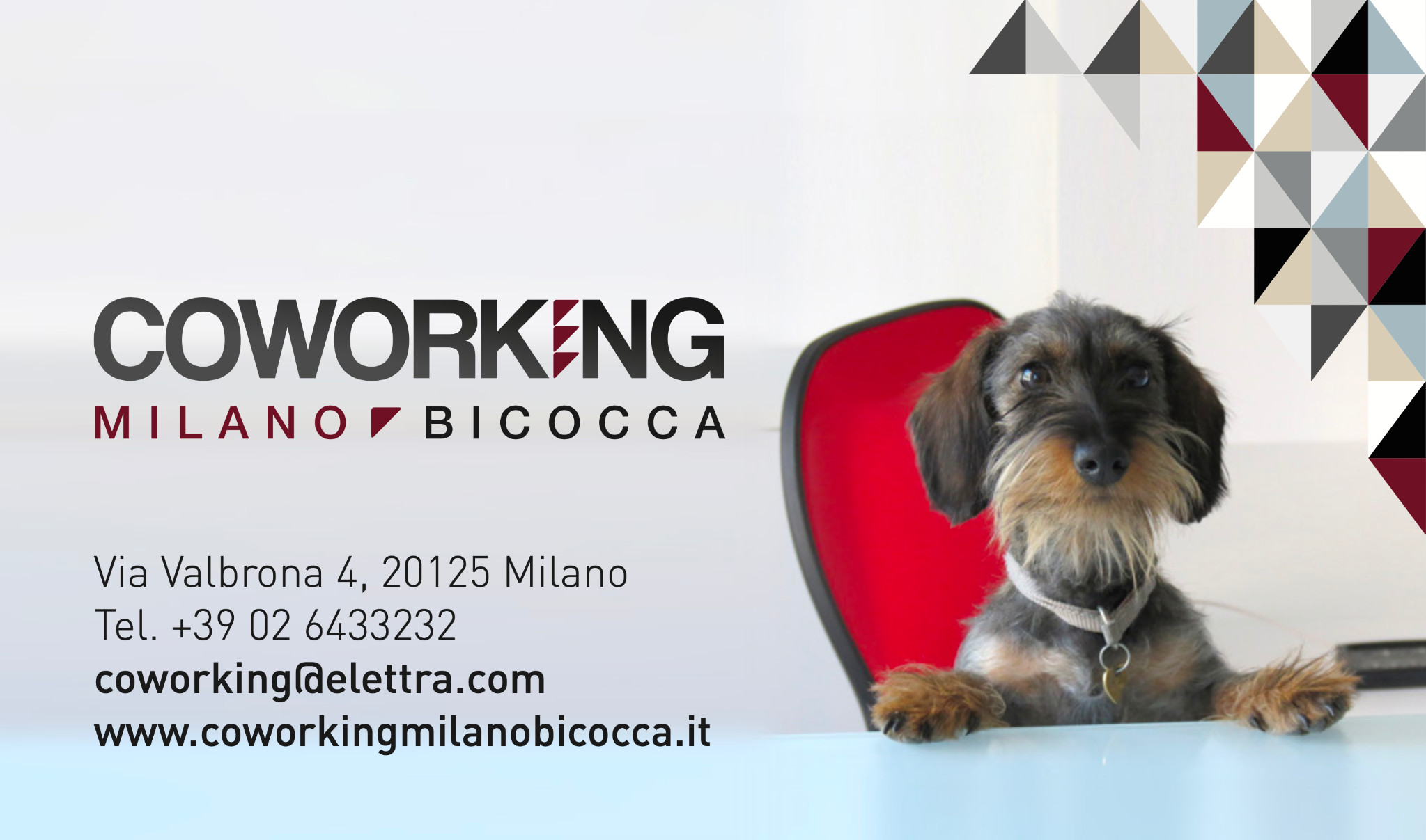 Biglietto da visita Coworking Milano Bicocca con la bassottina