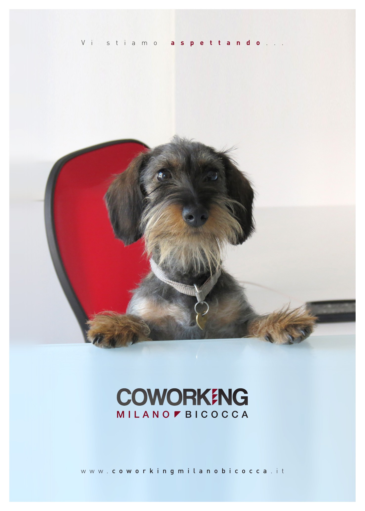 Locandina pubblicitaria Coworking Milano Bicocca con la bassottina
